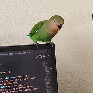 bird on monitor